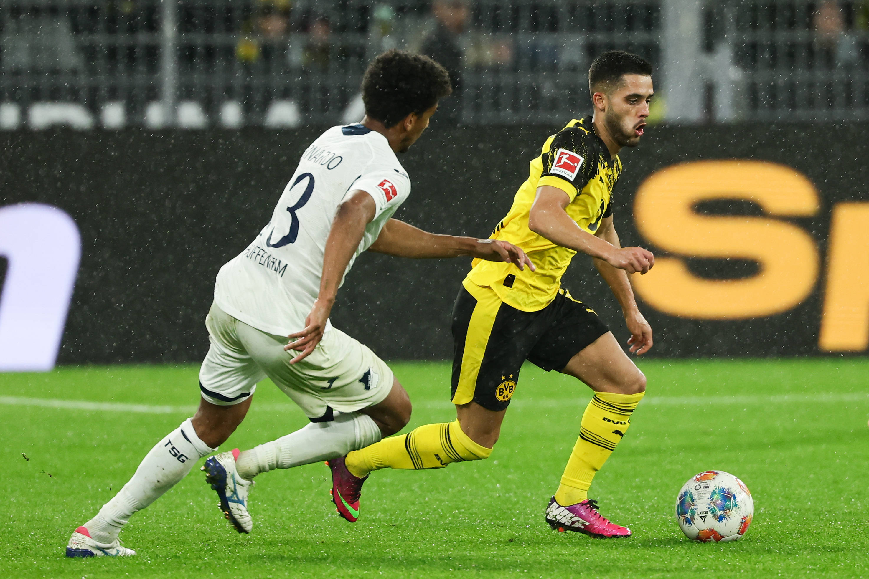 （体育）足球——德甲：多特蒙德胜霍芬海姆